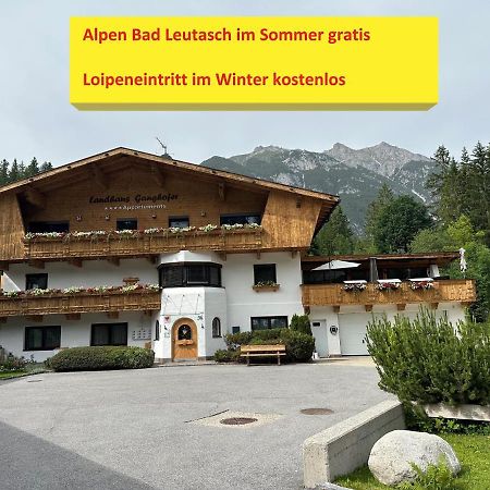 W4 Haus Ganghofer Daire Leutasch Dış mekan fotoğraf
