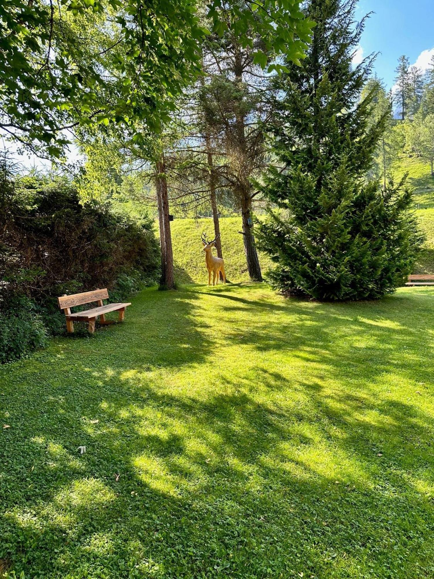 W4 Haus Ganghofer Daire Leutasch Dış mekan fotoğraf